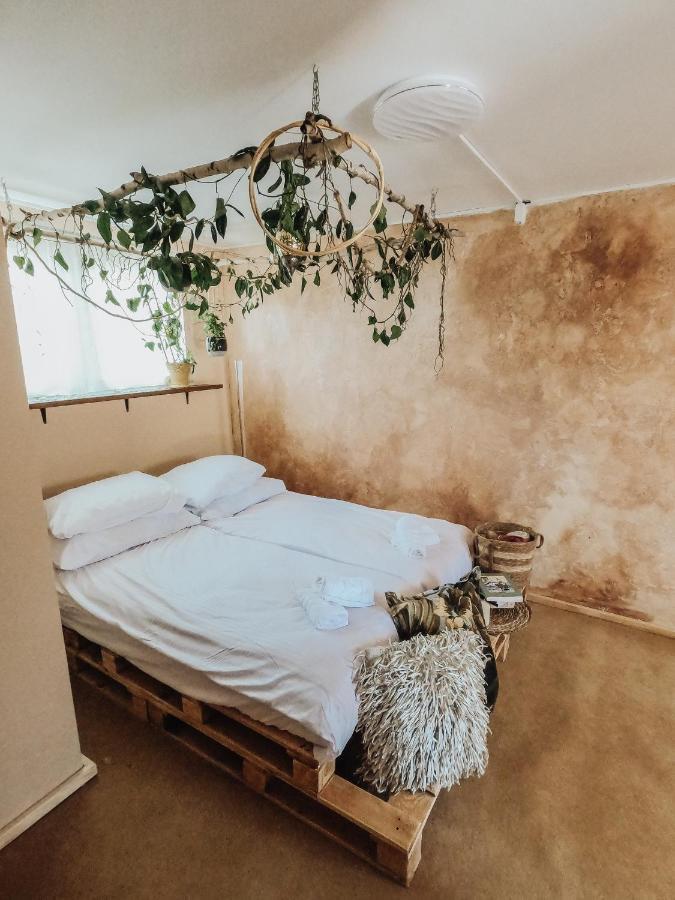 Koza I Brzoza, Domki Z Kontenerow Piechowice  Extérieur photo