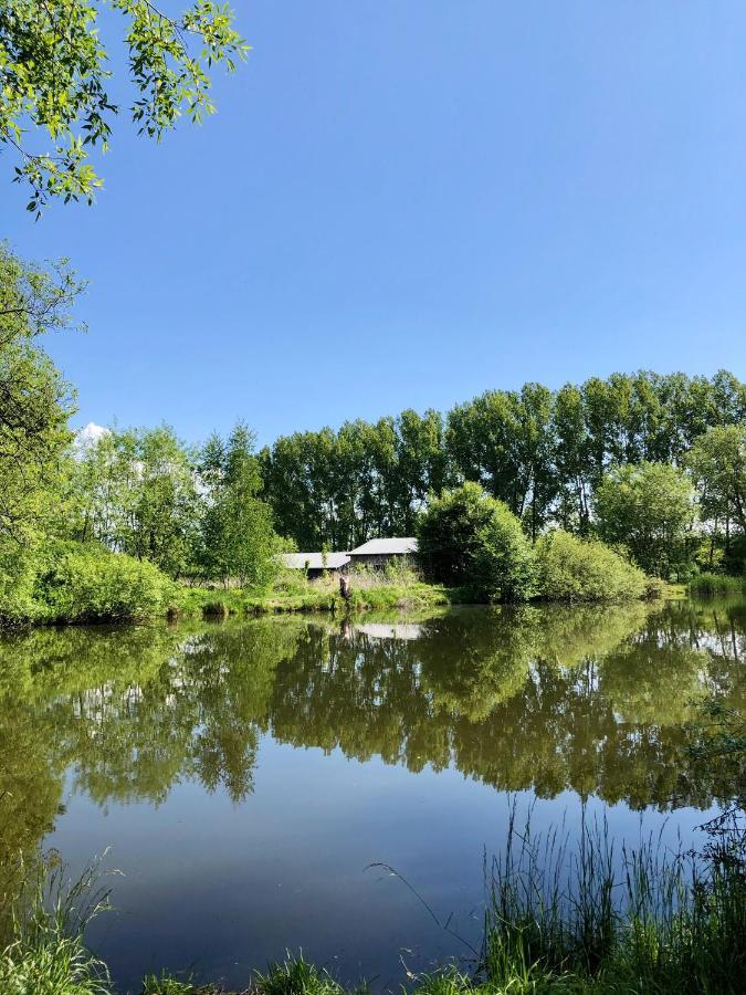 Koza I Brzoza, Domki Z Kontenerow Piechowice  Extérieur photo