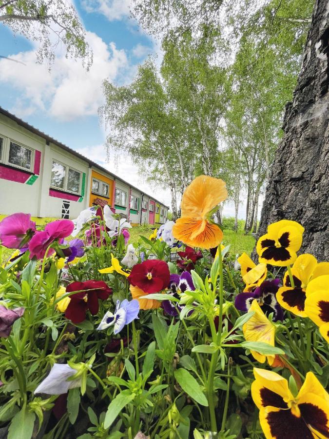 Koza I Brzoza, Domki Z Kontenerow Piechowice  Extérieur photo